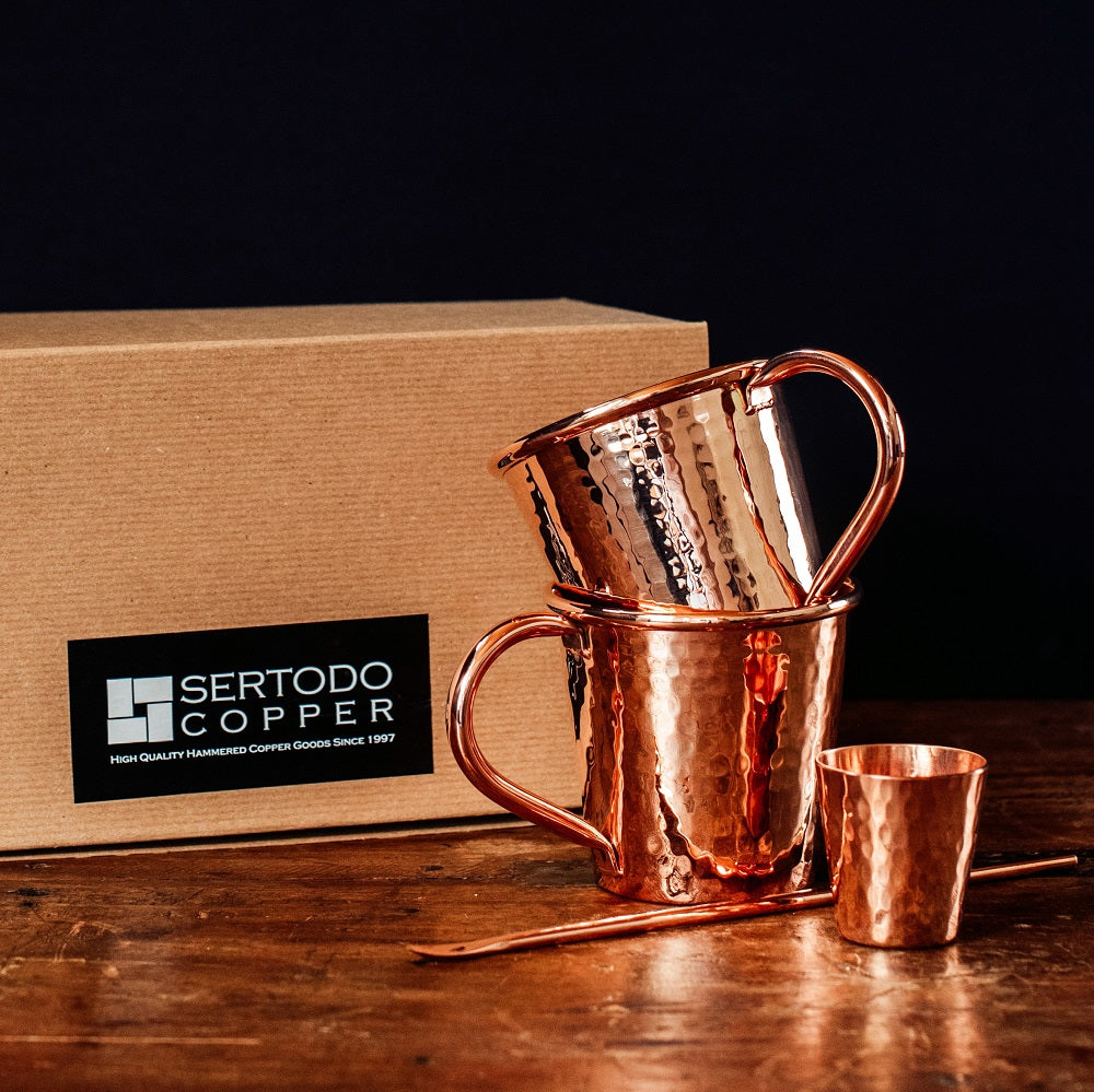 Moscow Mule Mug Gift Set hammered copper