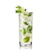 Clear glass highball cocktail with mojito, mint leaves, lime wedge, and ice.