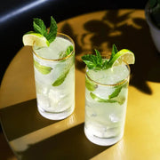 Two Viski Meridian 15 oz. lead-free crystal highball glasses with gold rims, filled with mojitos.